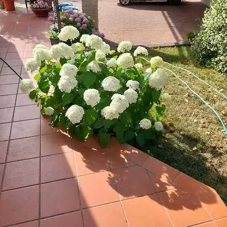 Appartman Iva Διαμέρισμα *