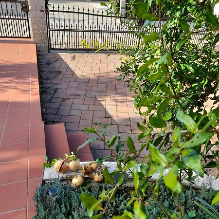 Διαμέρισμα Appartman Iva *