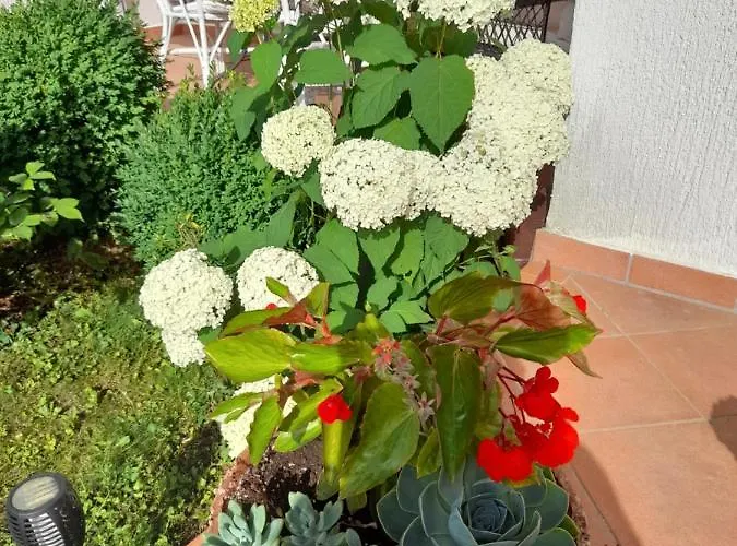 Appartman Iva Διαμέρισμα Πόρετς