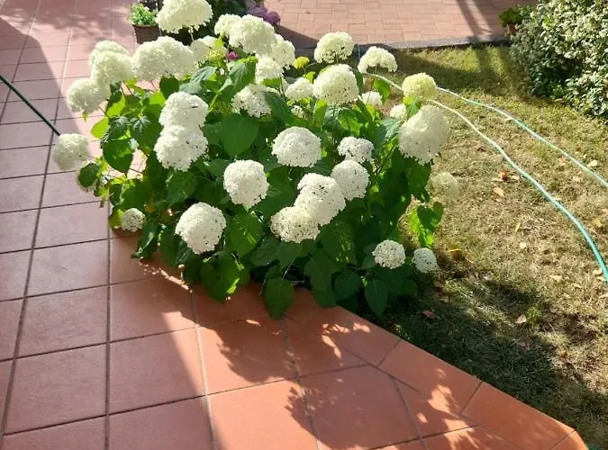 Appartman Iva Διαμέρισμα *